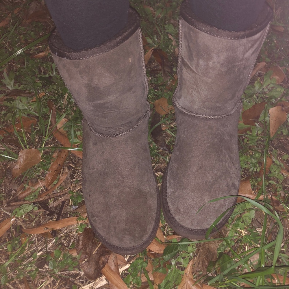 Chocolate brown short uggs